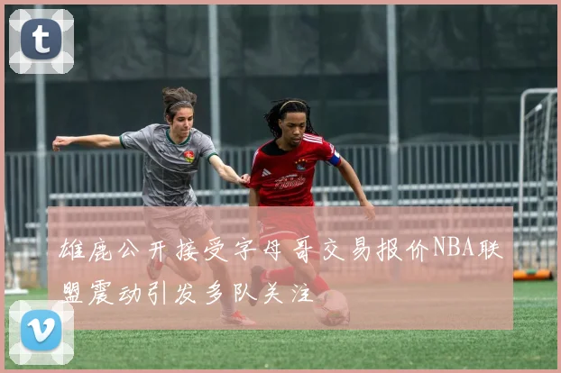 雄鹿公开接受字母哥交易报价NBA联盟震动引发多队关注