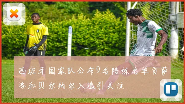 西班牙国家队公布9名陪练名单贡萨洛和贝尔纳尔入选引关注